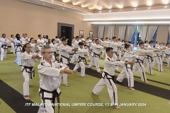 sIMG20240113171052-copy