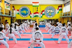 image-16-06-23-09-41-1_resized_20230616_073857873