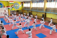 image-28-11-22-03-47-3