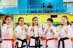 image-28-11-22-03-47